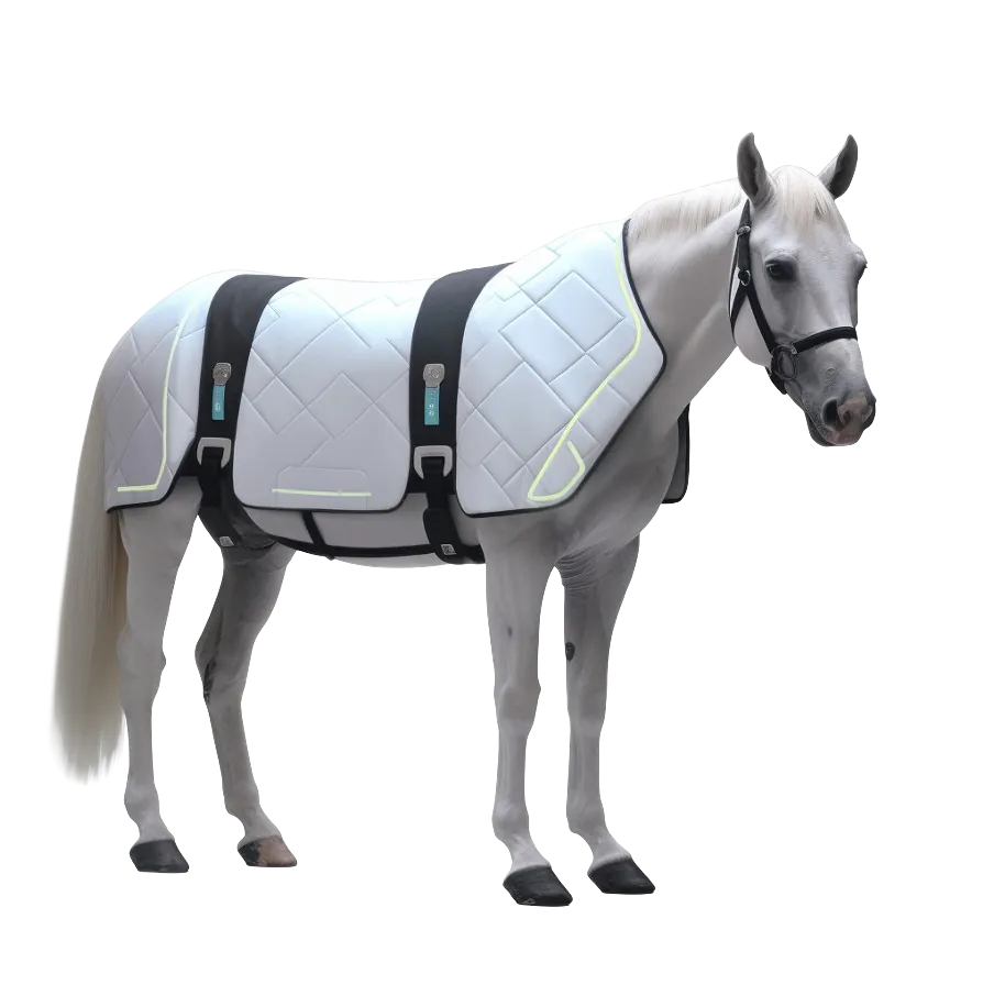 Horse wearing the Warden+ Thoroughbred smart blanket with embedded sensors